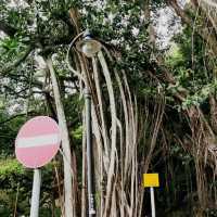 山頂=健步+古蹟+登高+遠眺維港(時尚美食