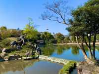京都　京都散策旅　渉成園の庭園と桜のコラボに感動❗️