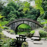 【東京】日本三名園の1つ！小石川後楽園