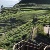 《日本-輪島市》堅持要去看的「梯田之美」
