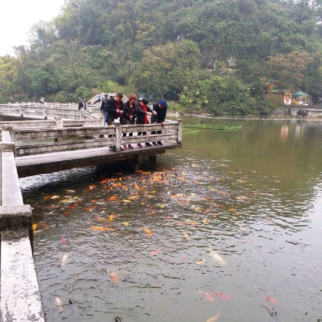 花花🌺🌷🥀🌻🌼🌸公園