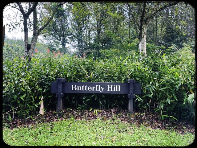 The place you must be visit in 🇸🇬