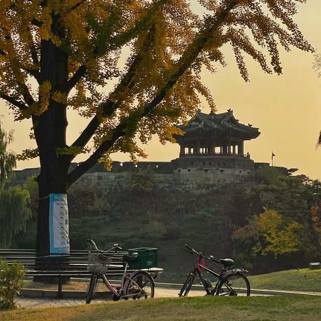 [볼곳] 가을이 기다려지는 이유🍂🍁 | 수원 방화수류정