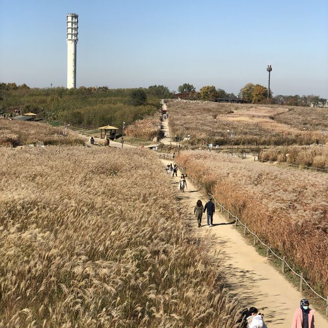 Autumn in Haneul Park