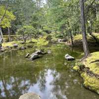 【京都】苔が美しい完全予約制のお寺