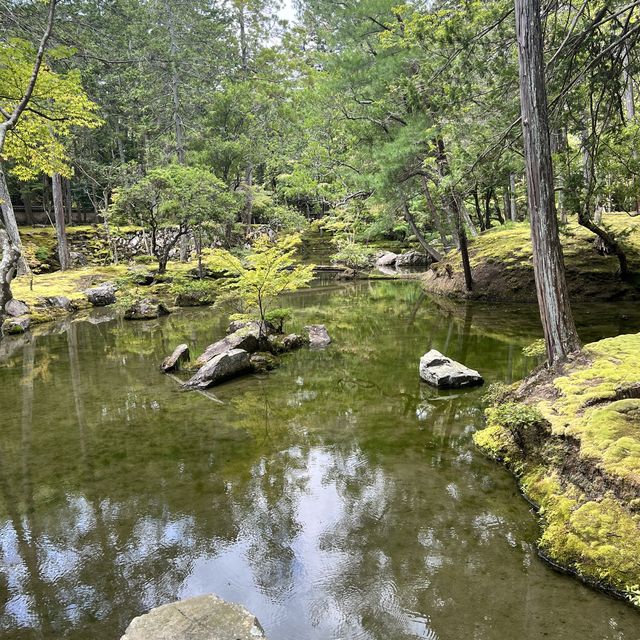 【京都】苔が美しい完全予約制のお寺