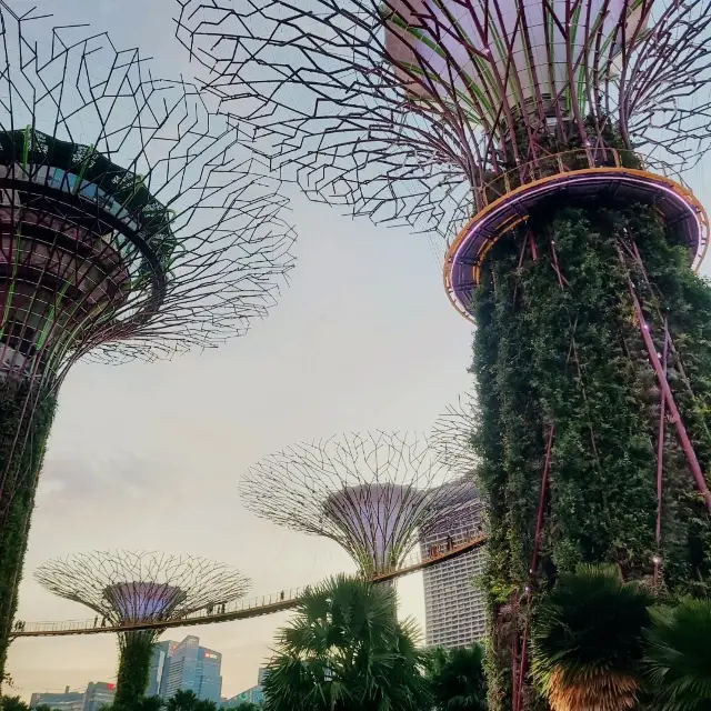 싱가포르 가든스베이!!