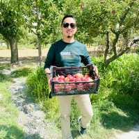 epal heaven in pakistan 