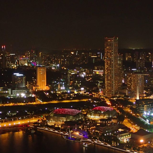 全新加坡🇸🇬最令景酒店🏨天台無邊際泳池❗️