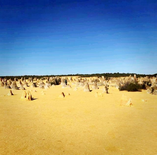 The Outback of Perth, Australia