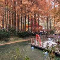 Place to visit in South Korea