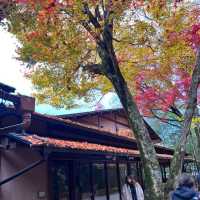 【京都】紅葉が美しい京都のパワースポット