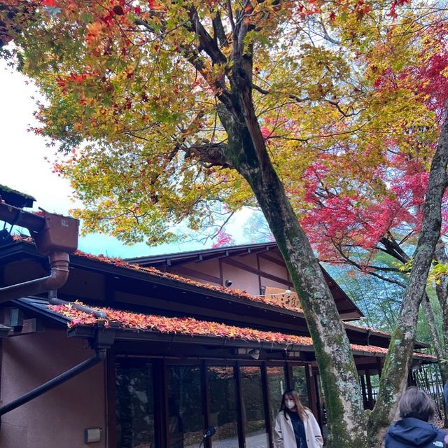 【京都】紅葉が美しい京都のパワースポット