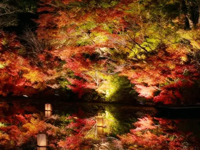 夜祭紅葉-九州御船山樂園