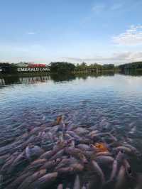Sunway Emerald Lake