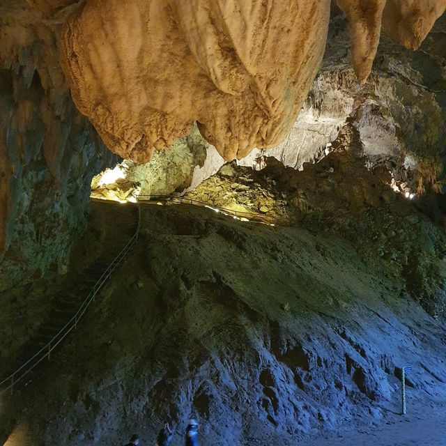 อุทยานแห่งชาติถ้ำหลวง-ขุนน้ำนางนอน 