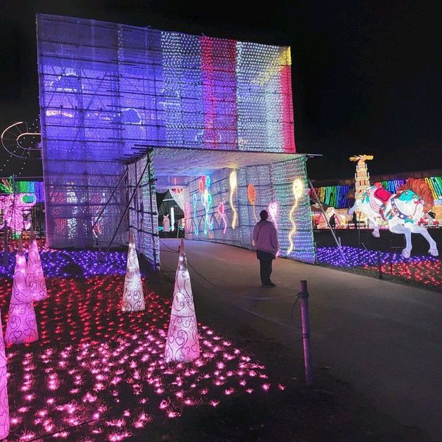 千葉県！ドイツ村イルミネーションその②