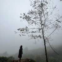 สวนคุณปู่ ผาหมี