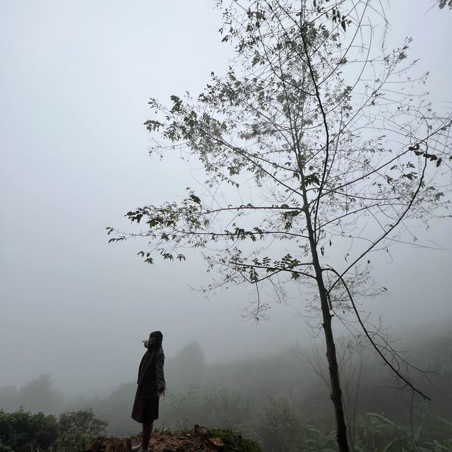 สวนคุณปู่ ผาหมี