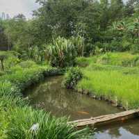 KAMPUNG LUMBUNG