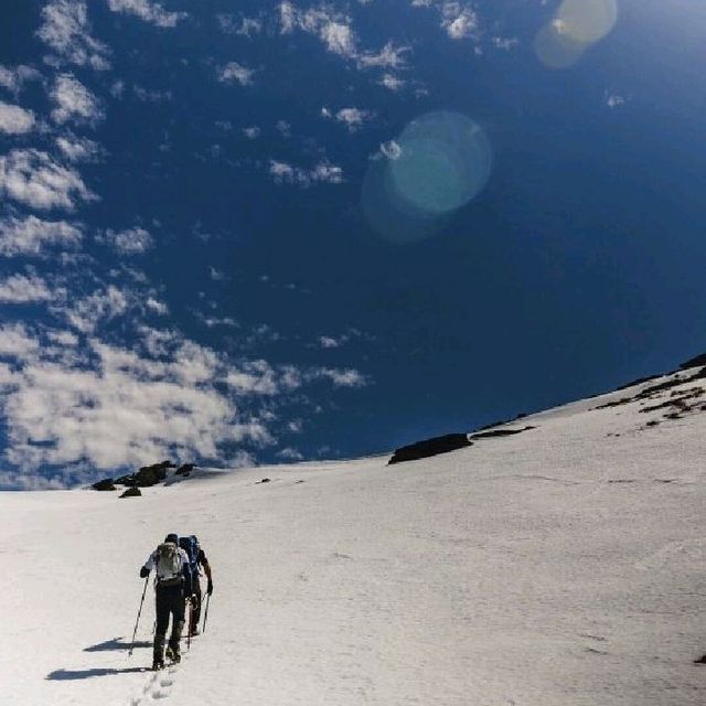 Wanaka Heli Hikes