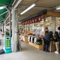 【長野】たてしな自由農園　原村