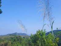 簡單靚景 - 鹿頸至大尾篤