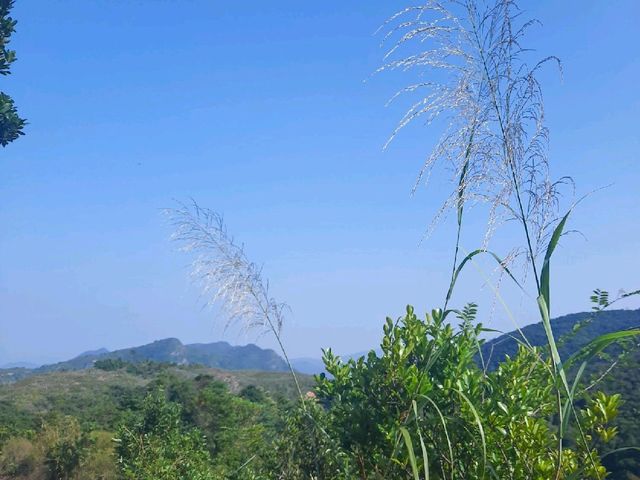 簡單靚景 - 鹿頸至大尾篤