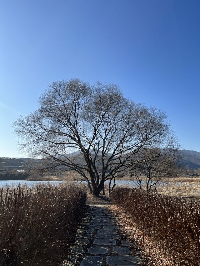 겨울에도 아름다운 남양주 :: 물의 정원