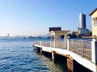 鯉魚門無敵海景