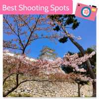 【兵庫 明石城跡】美しき城跡と桜の撮影スポット🌸🌸🌸