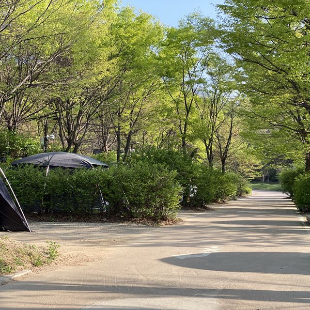 #봄여행 은 역시 캠핑이지 #중랑캠핑숲