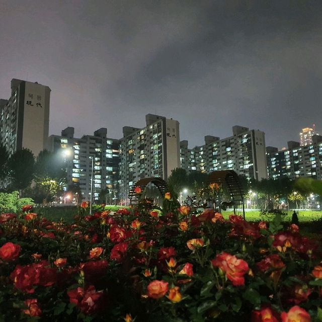 철쭉 한가득 핀 목동의 야경