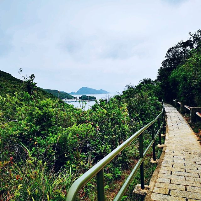 隱世山脈白虎山