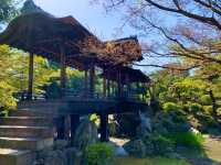 京都　京都散策旅　渉成園の庭園と桜のコラボに感動❗️