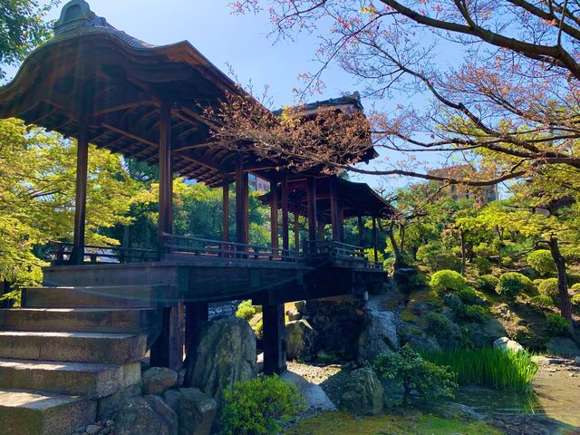 京都　京都散策旅　渉成園の庭園と桜のコラボに感動❗️