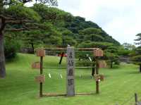 吉野公園｜鹿兒島