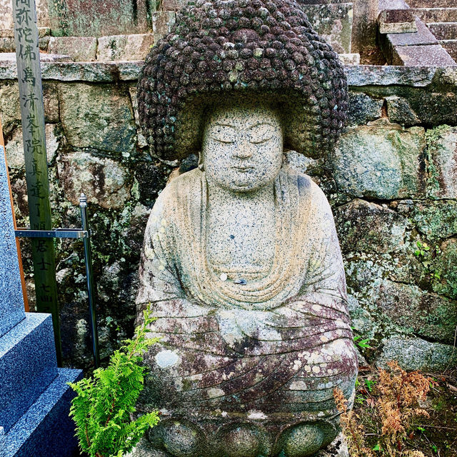 【京都】長い修行をされたアフロ大仏様