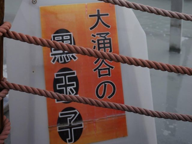 箱根必去知名景點🤩➡️大涌谷