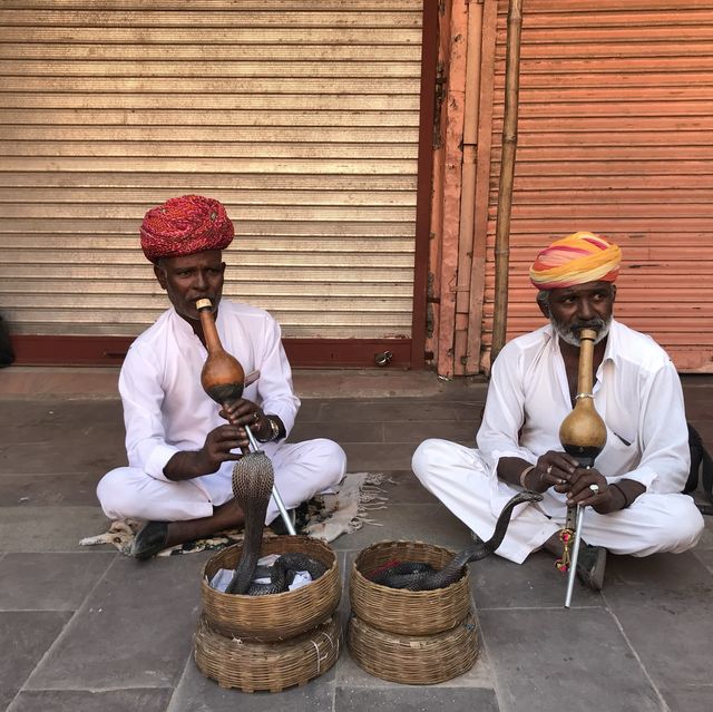 นมัสเต JAIPUR นครแห่งสีชมพู