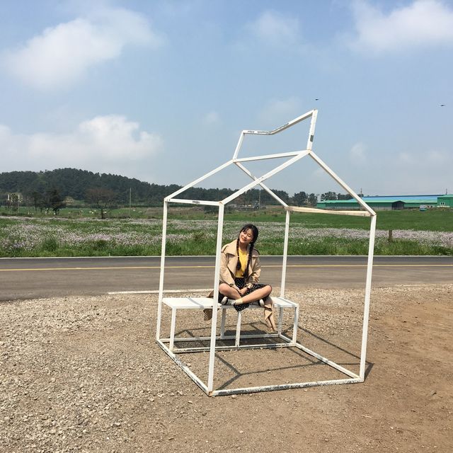 [제주도] 사진찍기 좋은 테쉬폰/귀여운 우유부단 카페