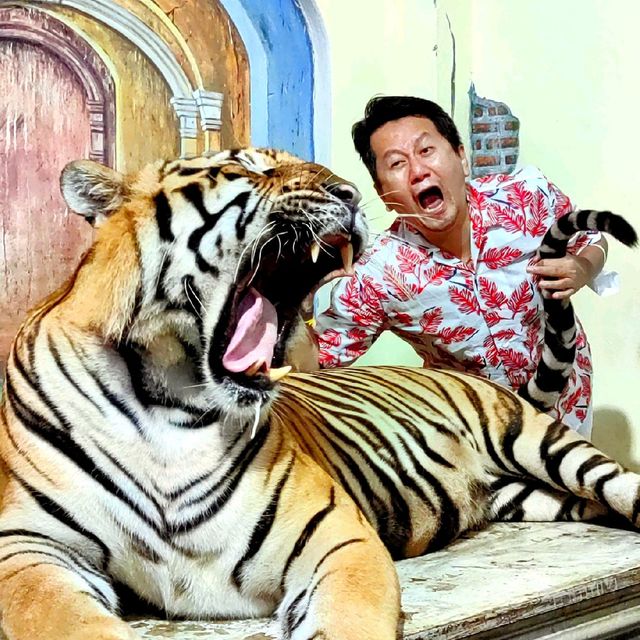 Hugging New Beastie in Tiger Kingdom Phuket.