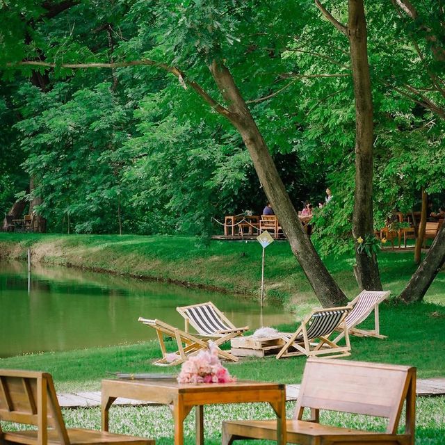 คาเฟ่ที่มีวิวสวนสวยๆ สีเขียวๆสลายตาสุดๆ