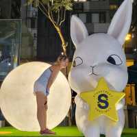 與♡星月兔🐰♡的相聚
