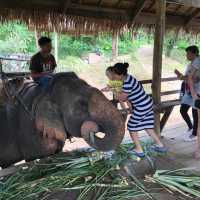 Visiting Elephants camp 