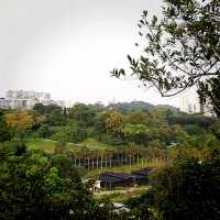 Hiking In Kent Ridge Park On Weekends 
