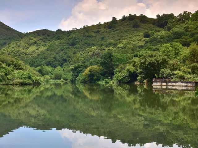 古洞心心水塘