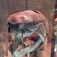 Smithsonian Museum of Natural History 