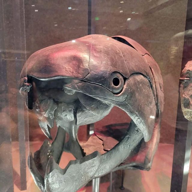 Smithsonian Museum of Natural History 