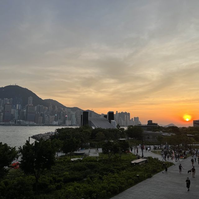 M+博物館｜欣賞展品｜打卡｜吸收新事物